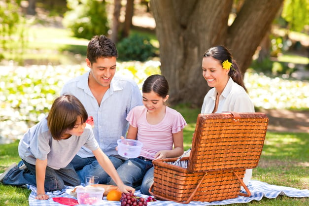 Family picnicking in the park