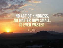 volunteer_Florida_no_act_of_kindness_is_ever_wasted