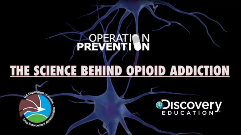 The Science Behind Opioid Addiction