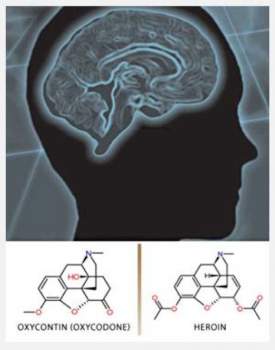 chemical_simialrity_between_opioid_rx_and_heroin.jpg