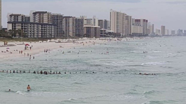 human-chain-florida-beach.jpg