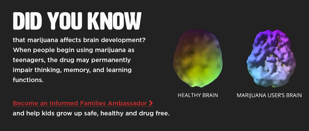 marijuana_brain_2019